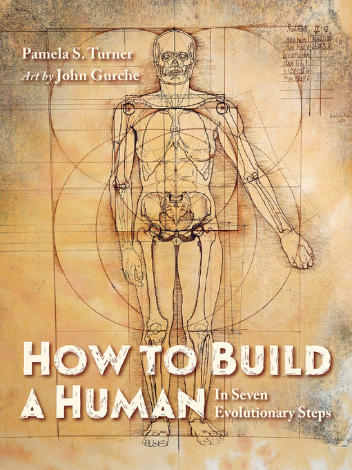 Title details for How to Build a Human by Pamela S. Turner - Available